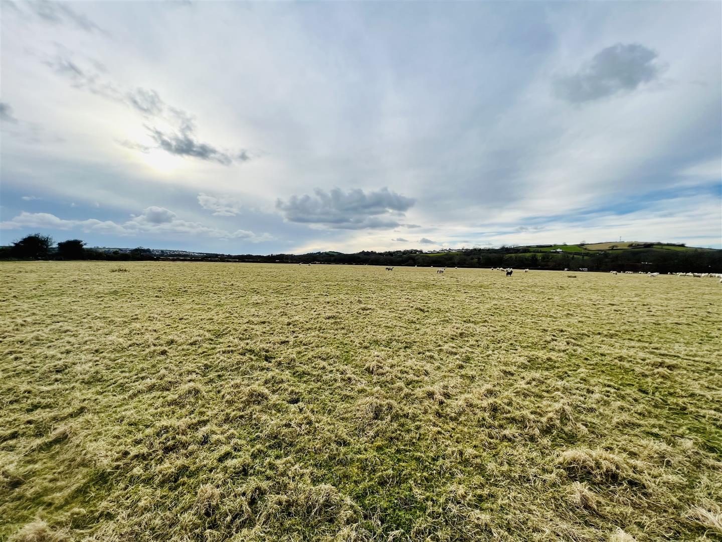 Llangennech, Nr Llanelli BJP Residential